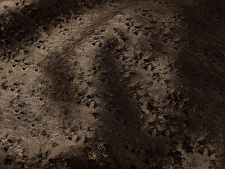 Опера арт. 09 TRUFFLE